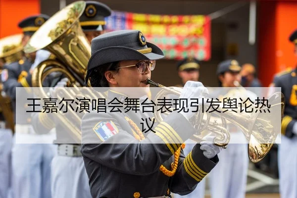 王嘉尔演唱会舞台表现引发舆论热议